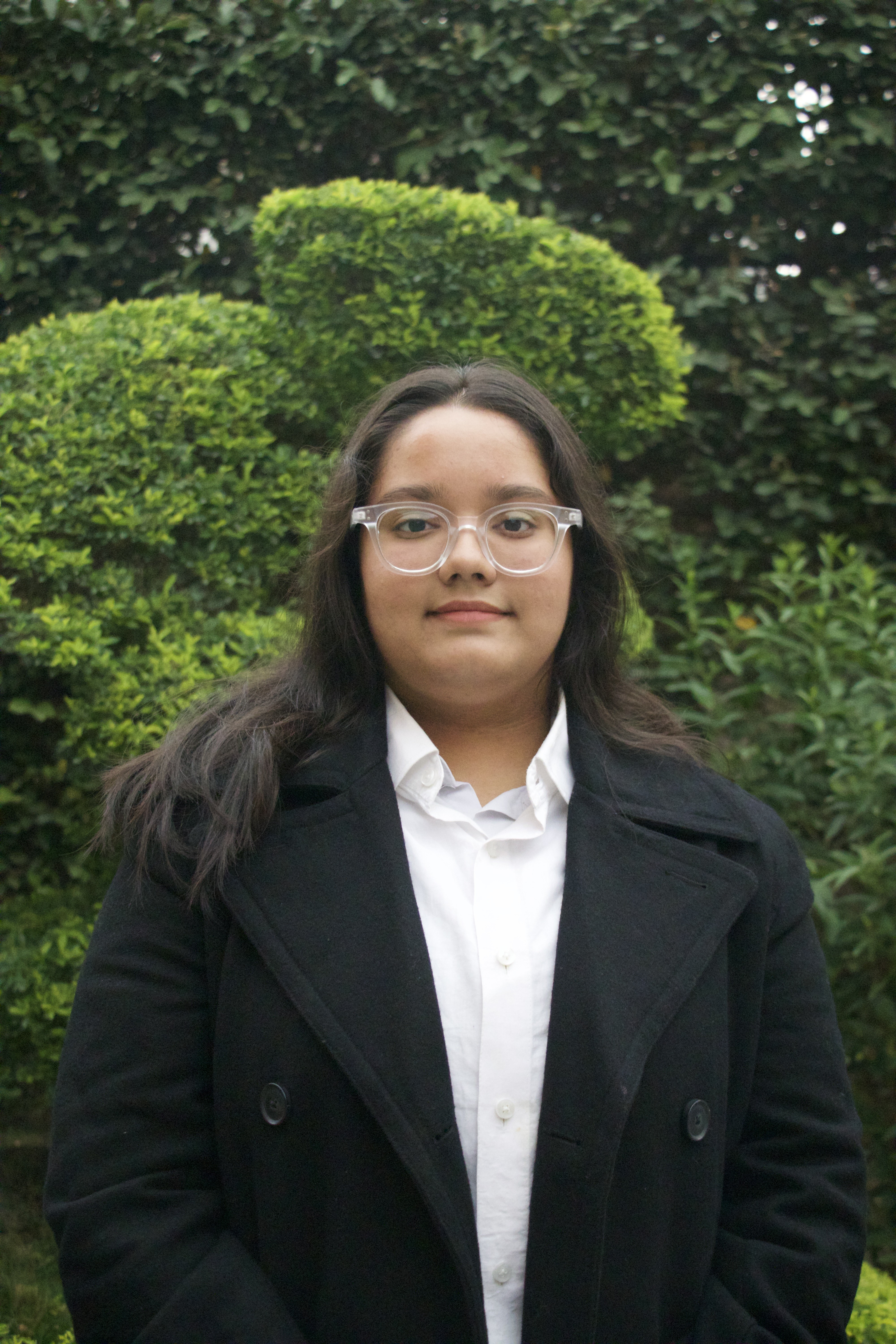 Deputy Secretary General